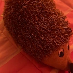 Dog toy , squeaks